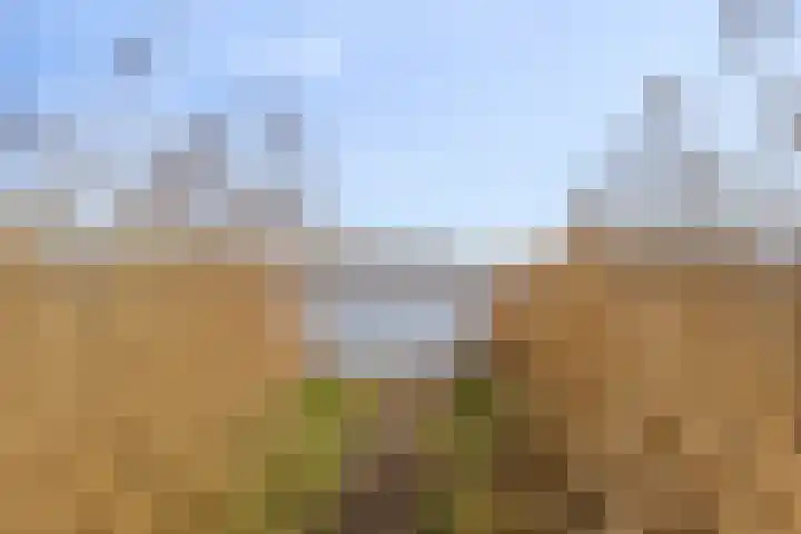 Duinschooten 12 056 Noordwijkerhout thumbnail 31