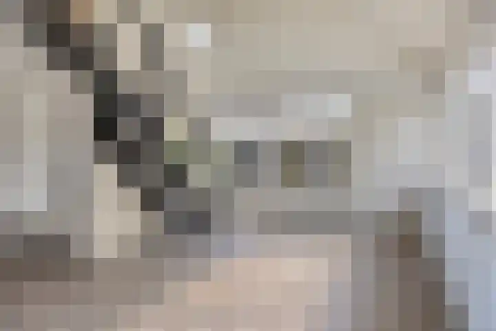 Duinschooten 12 056 Noordwijkerhout thumbnail 7