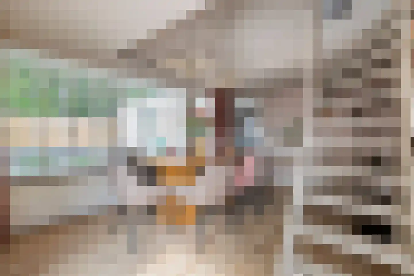 Duinschooten 12 064 Noordwijkerhout thumbnail 12