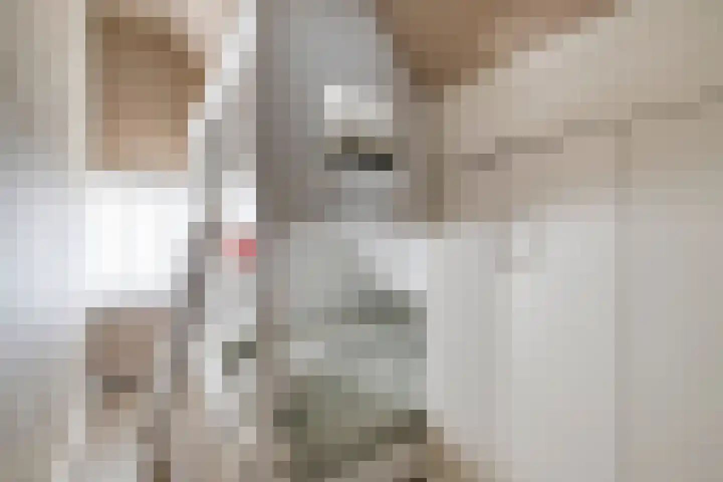 Duinschooten 12 064 Noordwijkerhout thumbnail 19