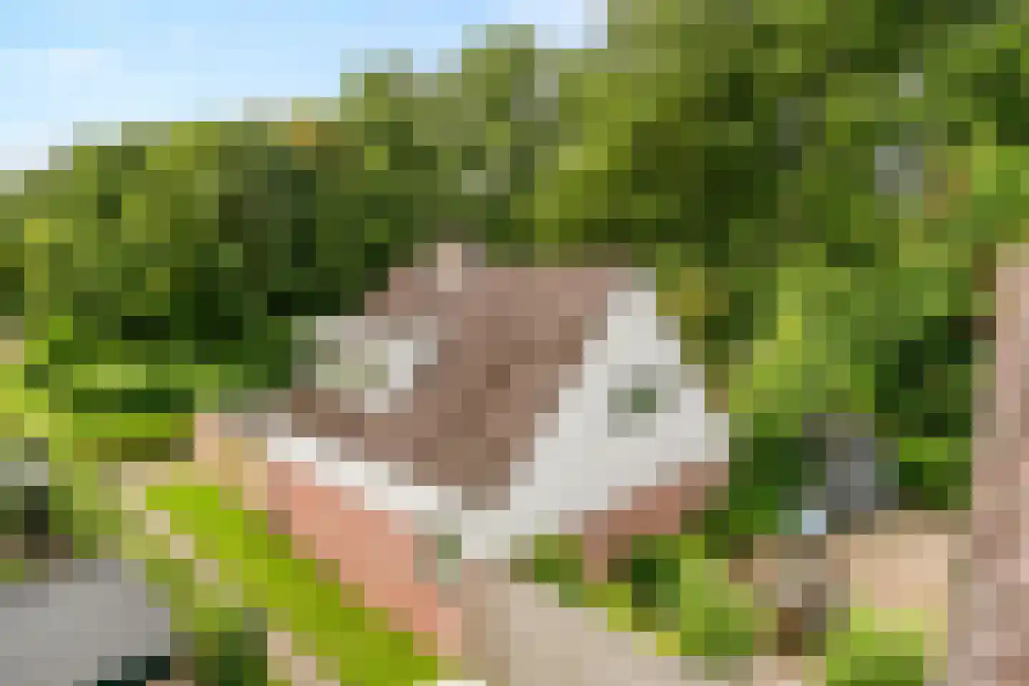 Duinschooten 12 064 Noordwijkerhout thumbnail 24