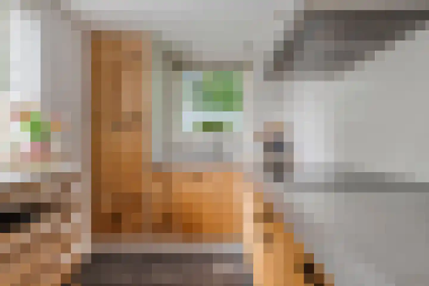 Duinschooten 12 064 Noordwijkerhout thumbnail 7