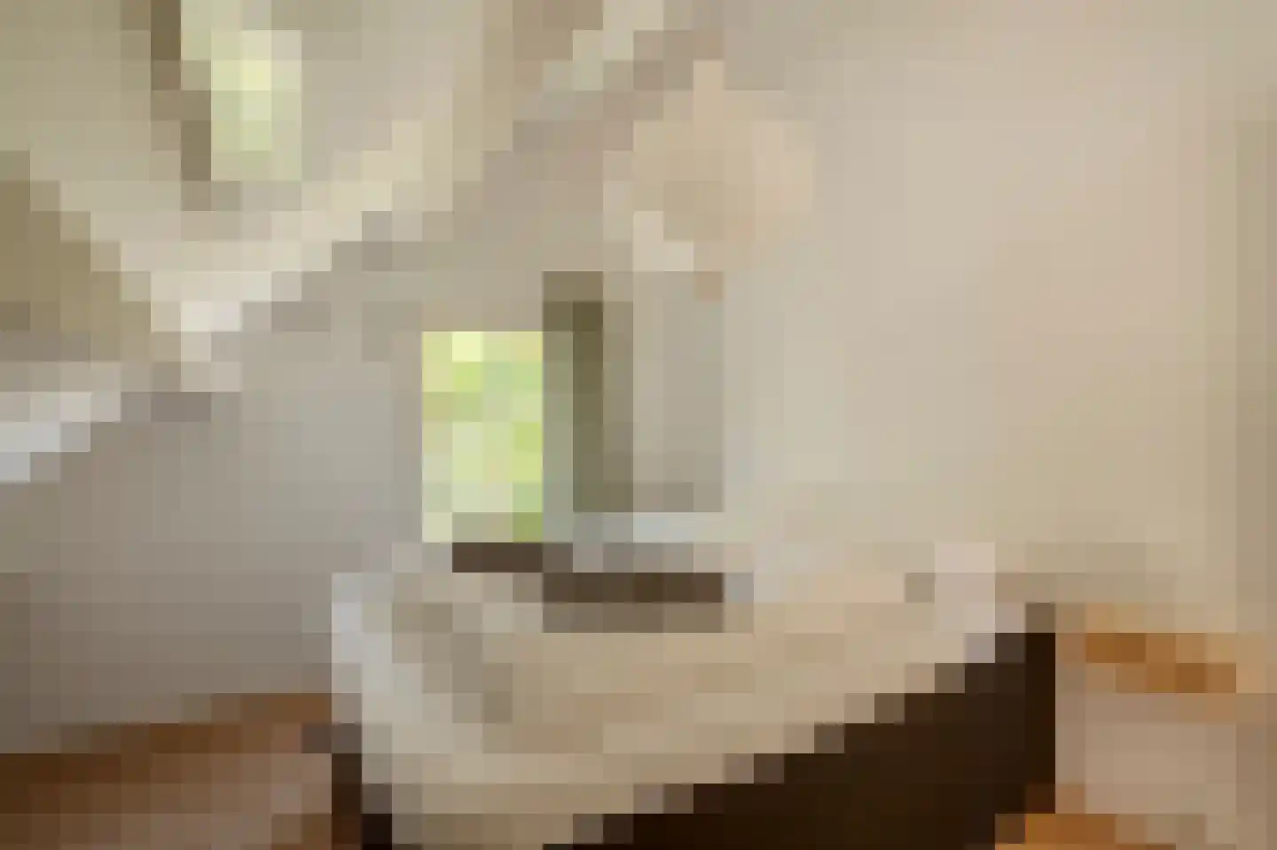 Duinschooten 12 078 Noordwijkerhout thumbnail 27