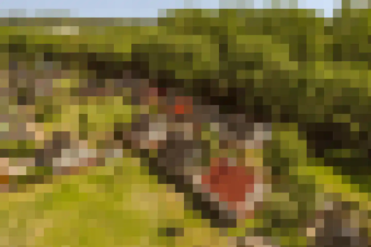 Duinschooten 12 078 Noordwijkerhout thumbnail 31