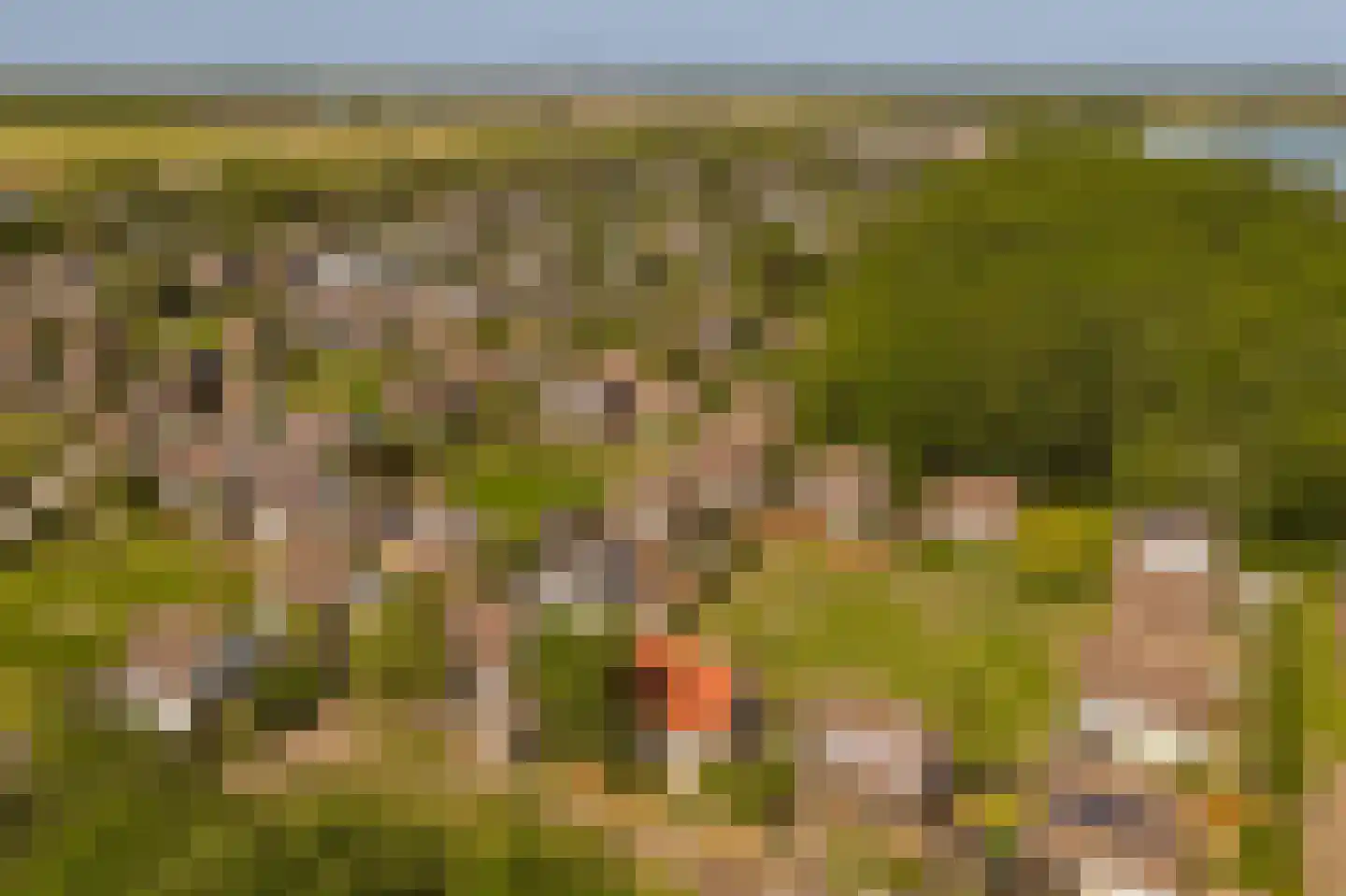 Duinschooten 12 078 Noordwijkerhout thumbnail 32