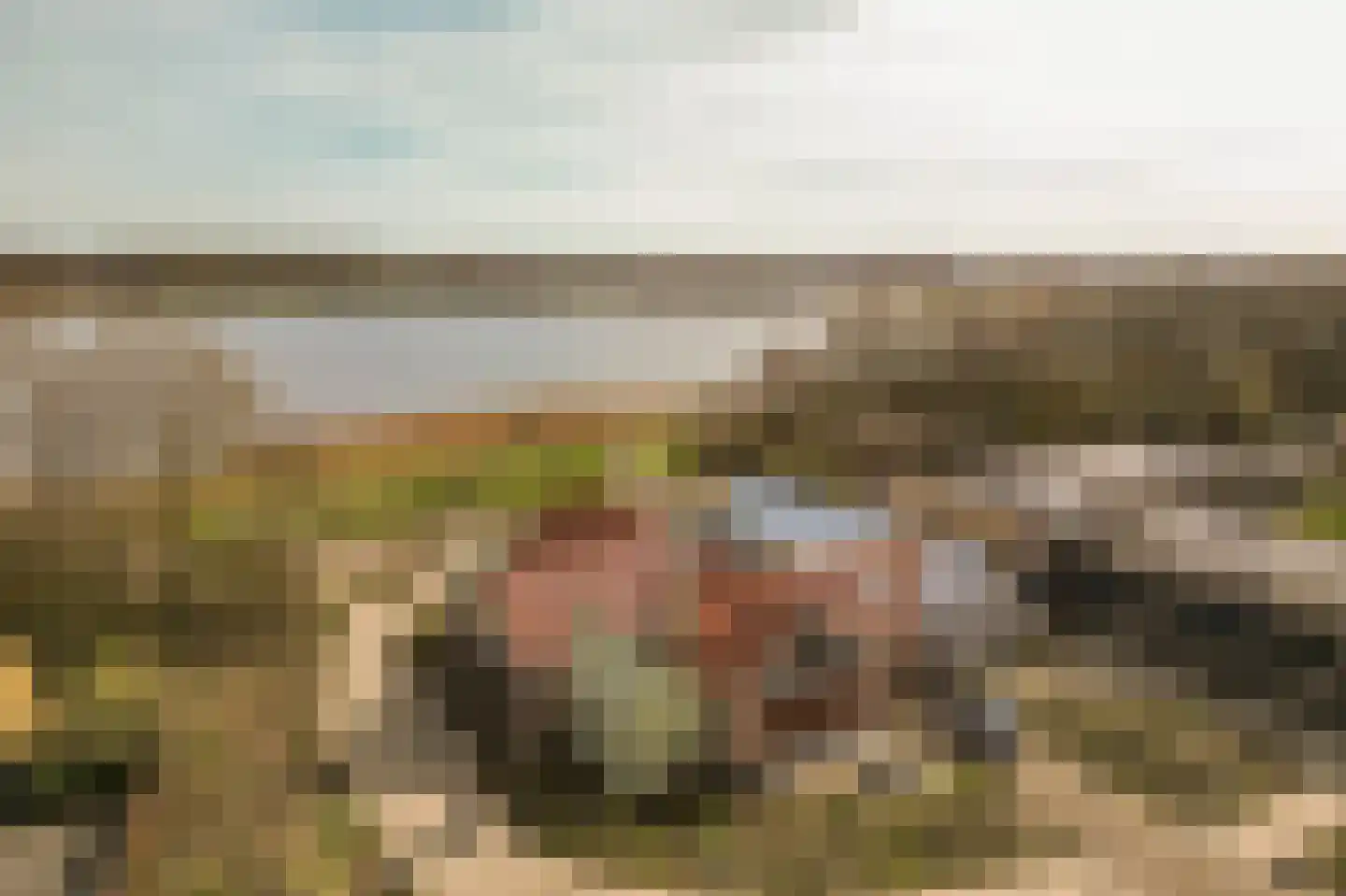 Duinschooten 12 078 Noordwijkerhout thumbnail 39