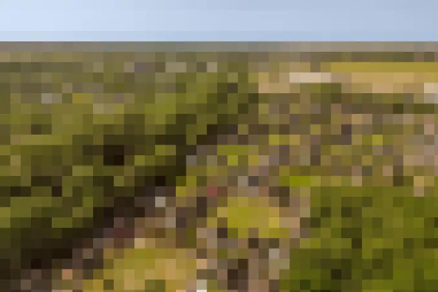 Duinschooten 12 078 Noordwijkerhout thumbnail 4
