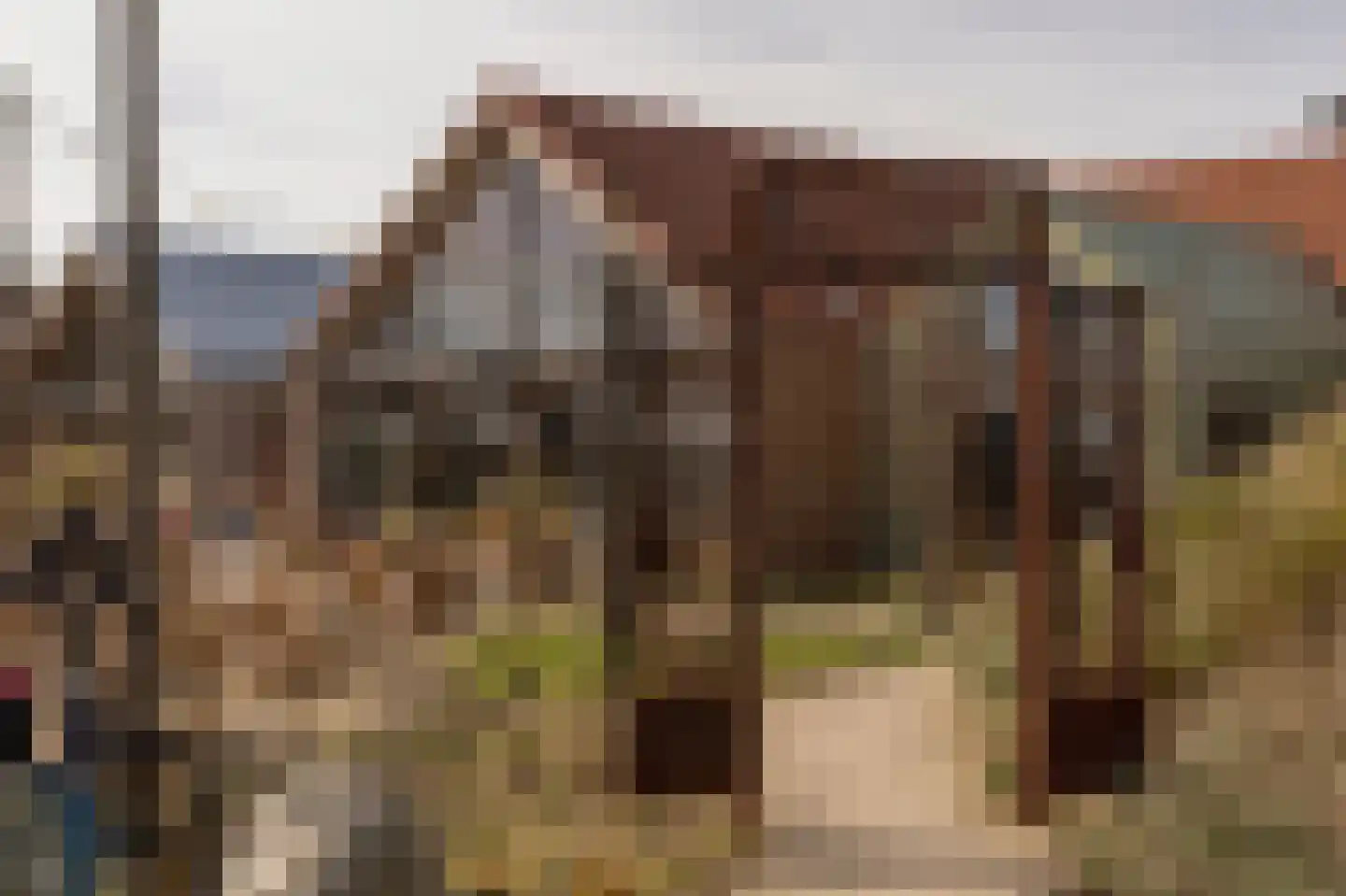 Duinschooten 12 078 Noordwijkerhout thumbnail 42