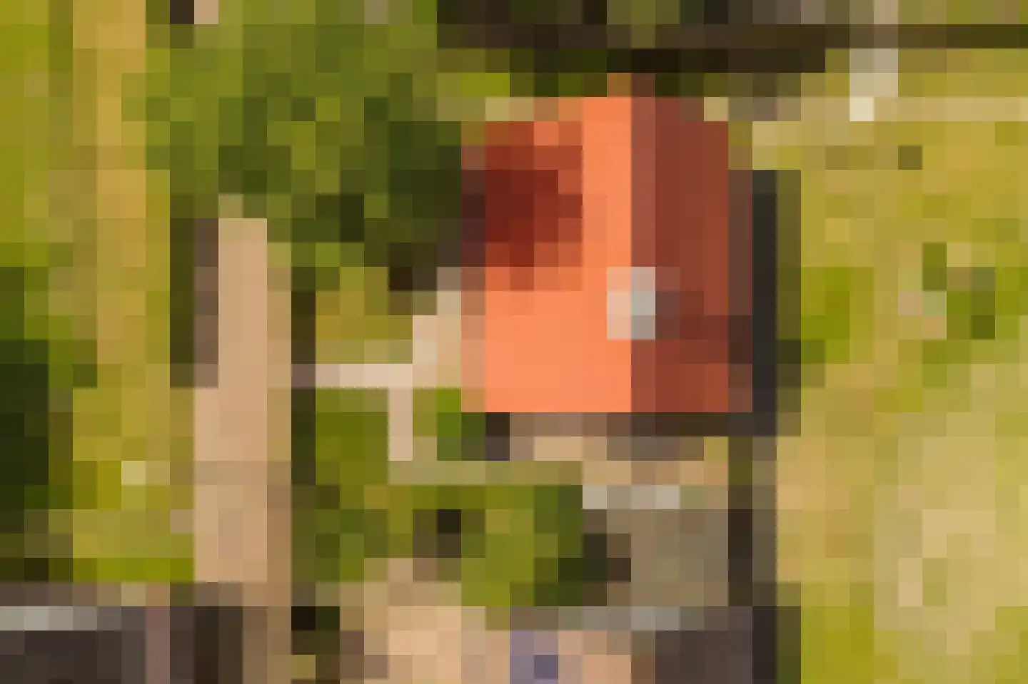 Duinschooten 12 078 Noordwijkerhout thumbnail 5