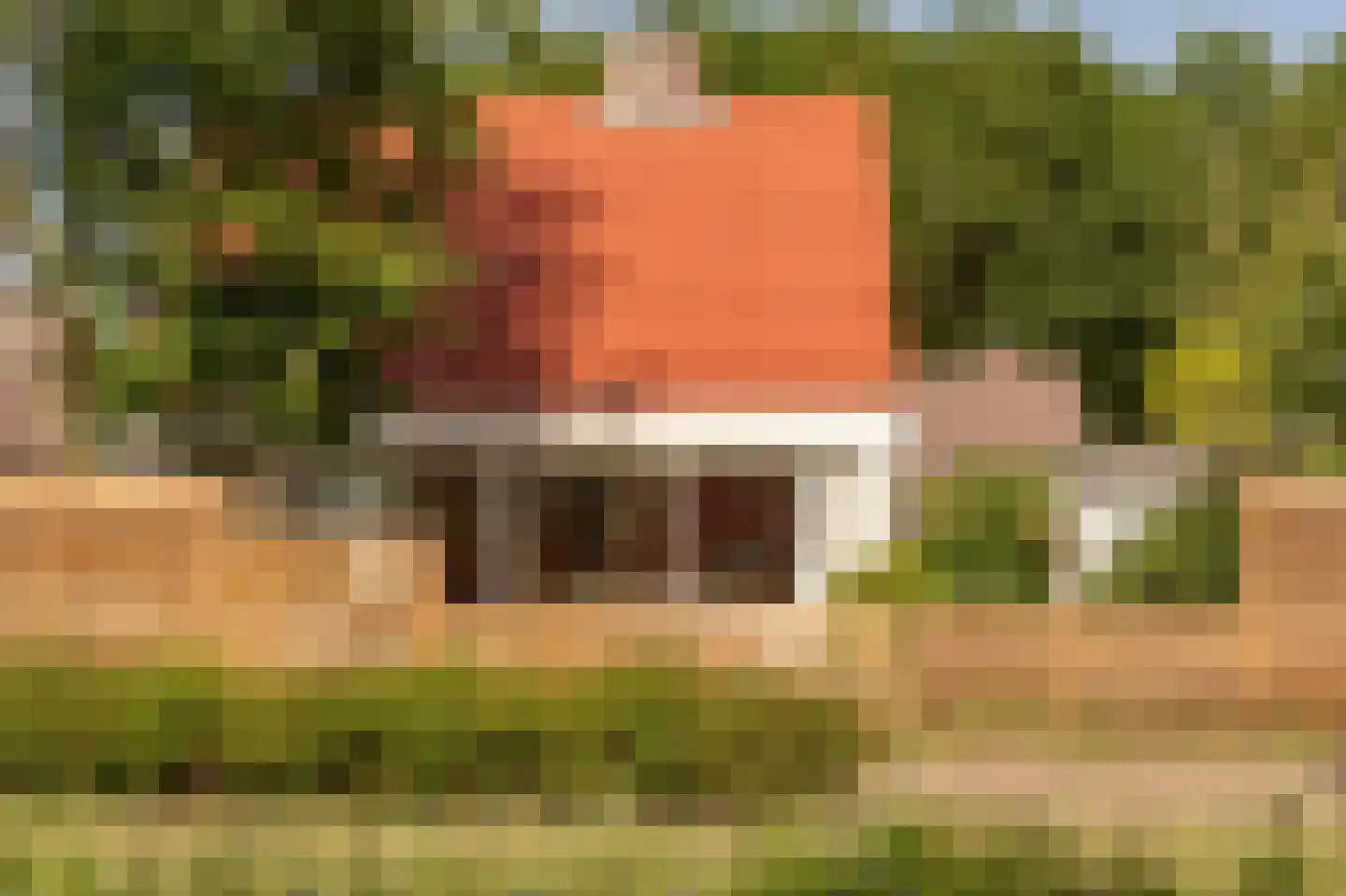 Duinschooten 12 078 Noordwijkerhout thumbnail 6