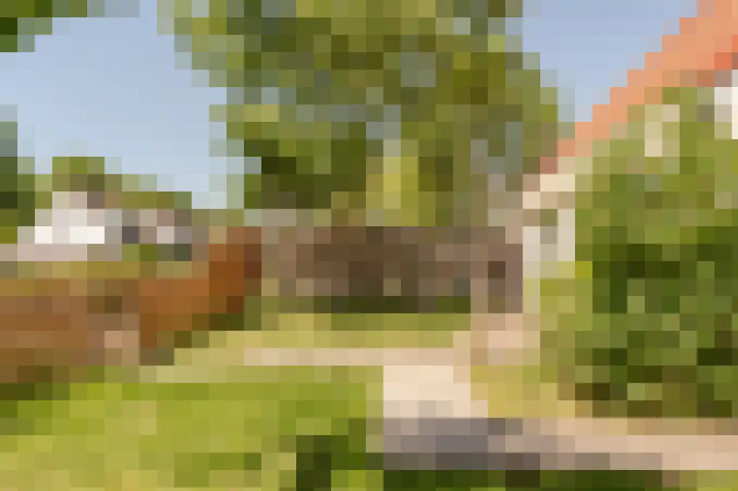 Duinschooten 12 078 Noordwijkerhout thumbnail 8