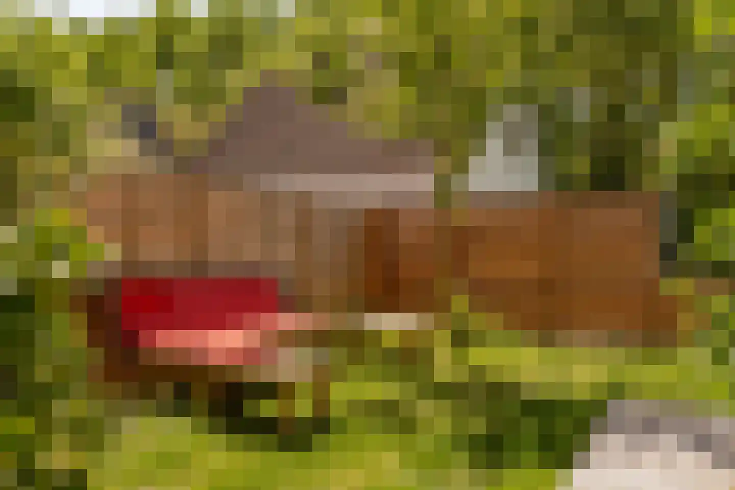 Duinschooten 12 078 Noordwijkerhout thumbnail 9
