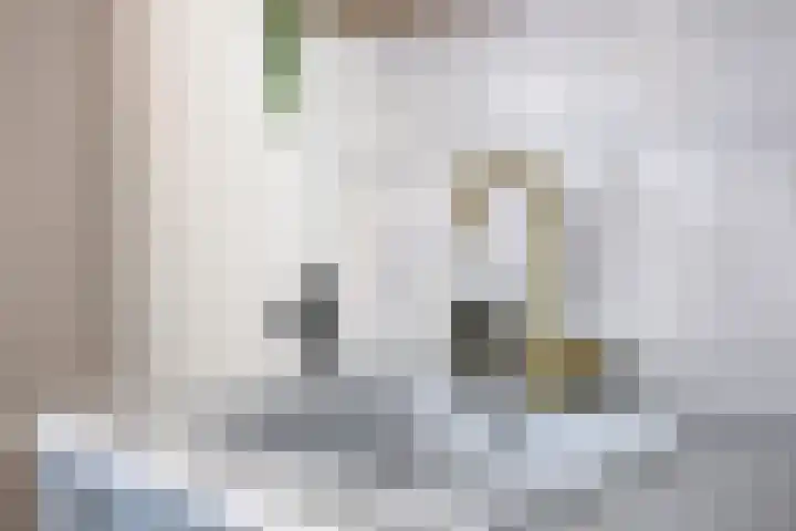 Duinschooten 12 098 Noordwijkerhout thumbnail 10