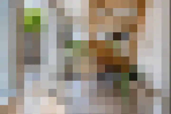 Duinschooten 12 098 Noordwijkerhout thumbnail 15