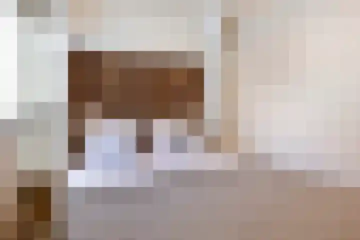 Duinschooten 12 098 Noordwijkerhout thumbnail 20
