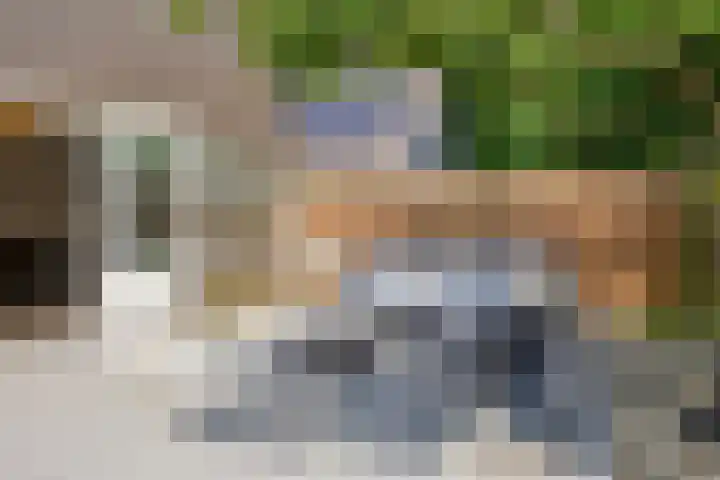 Duinschooten 12 098 Noordwijkerhout thumbnail 32
