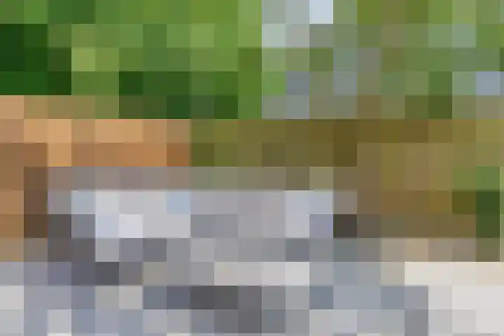 Duinschooten 12 098 Noordwijkerhout thumbnail 33