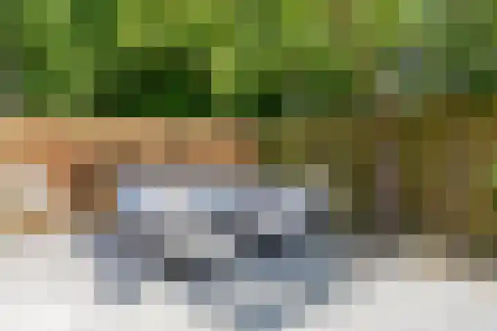 Duinschooten 12 098 Noordwijkerhout thumbnail 34