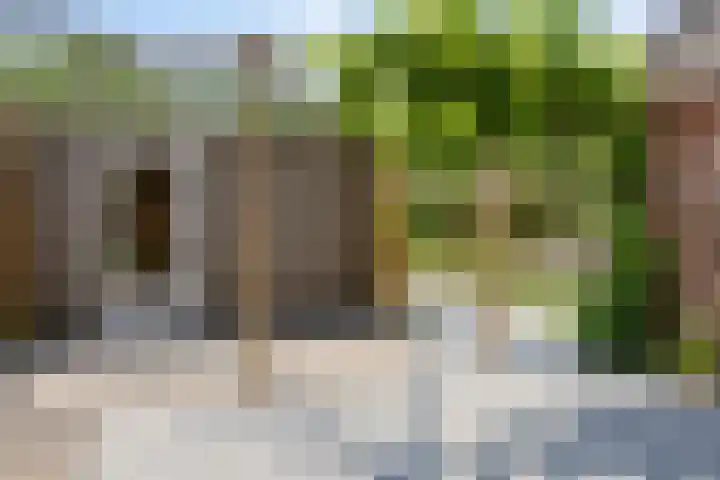 Duinschooten 12 098 Noordwijkerhout thumbnail 35