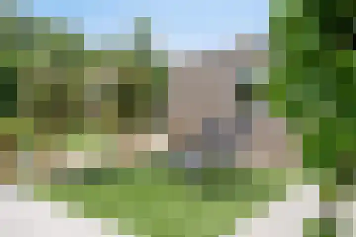 Duinschooten 12 098 Noordwijkerhout thumbnail 36