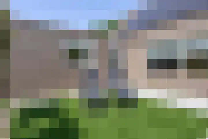 Duinschooten 12 098 Noordwijkerhout thumbnail 37