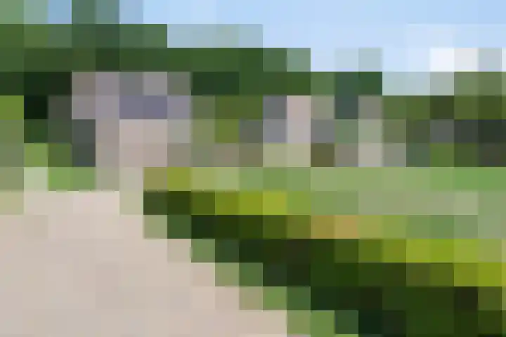 Duinschooten 12 098 Noordwijkerhout thumbnail 40