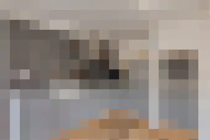 Duinschooten 12 099 Noordwijkerhout thumbnail 14