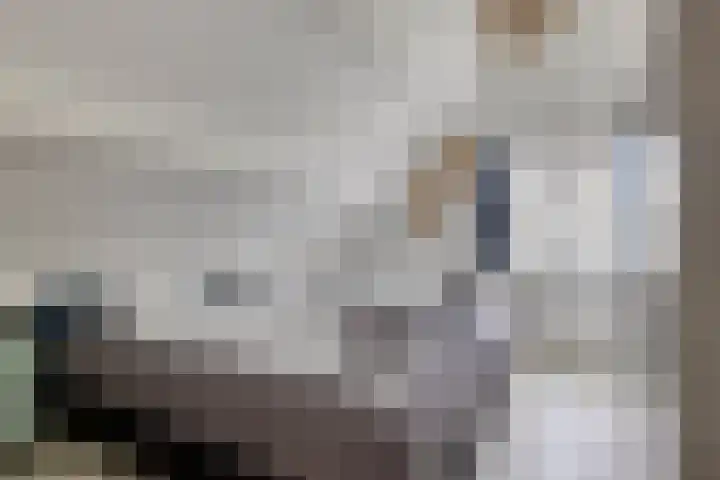 Duinschooten 12 099 Noordwijkerhout thumbnail 17