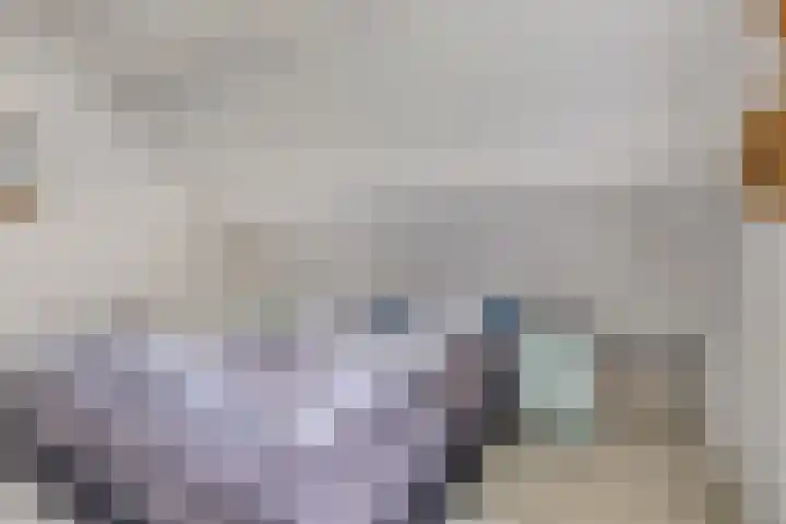Duinschooten 12 099 Noordwijkerhout thumbnail 18