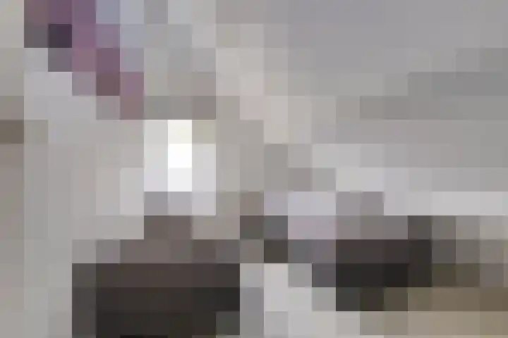Duinschooten 12 099 Noordwijkerhout thumbnail 19