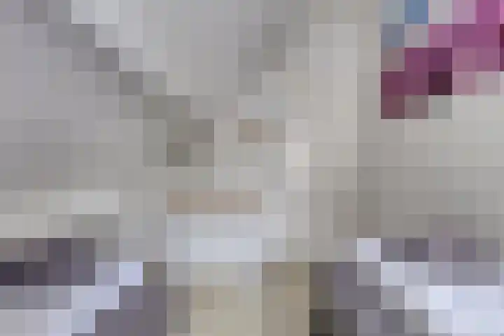 Duinschooten 12 099 Noordwijkerhout thumbnail 20