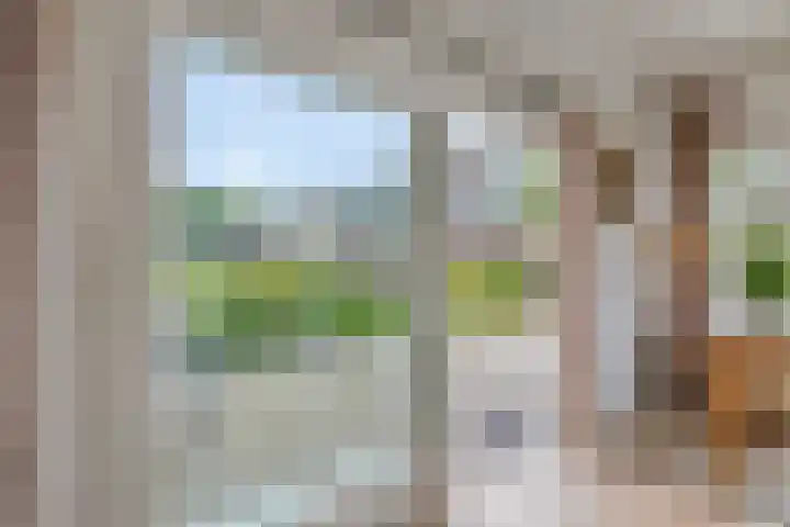 Duinschooten 12 099 Noordwijkerhout thumbnail 23
