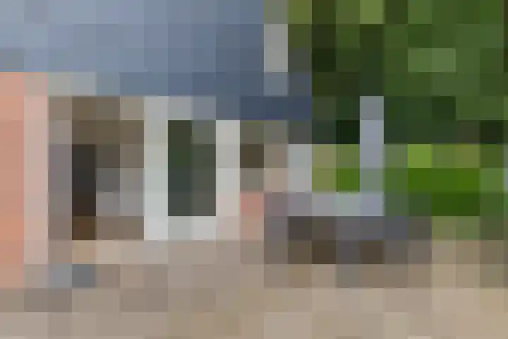 Duinschooten 12 099 Noordwijkerhout thumbnail 24
