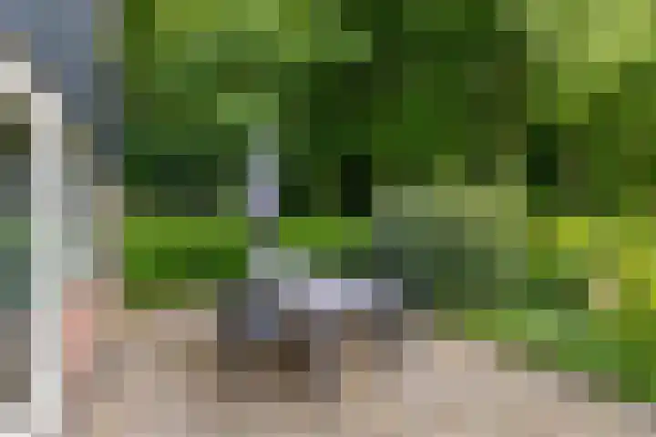 Duinschooten 12 099 Noordwijkerhout thumbnail 25