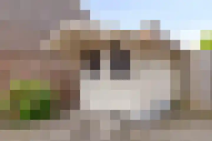 Duinschooten 12 099 Noordwijkerhout thumbnail 27