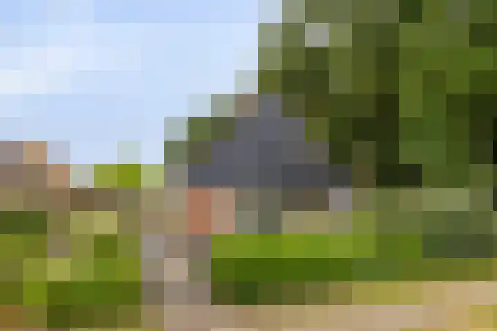 Duinschooten 12 099 Noordwijkerhout thumbnail 28