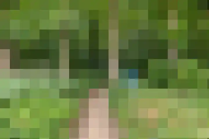 Duinschooten 12 099 Noordwijkerhout thumbnail 29
