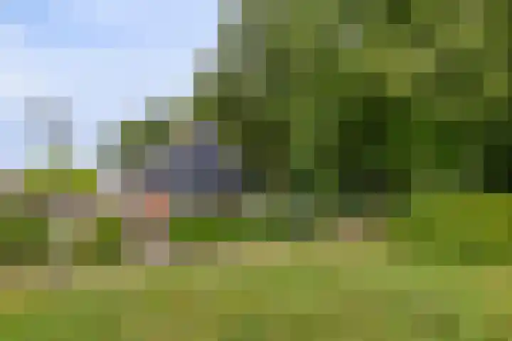 Duinschooten 12 099 Noordwijkerhout thumbnail 5