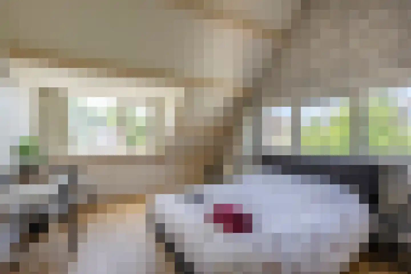 Duinschooten 12 102 Noordwijkerhout thumbnail 19