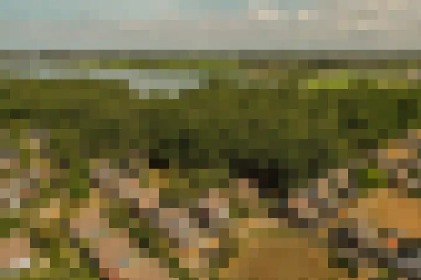 Duinschooten 12 102 Noordwijkerhout thumbnail 33