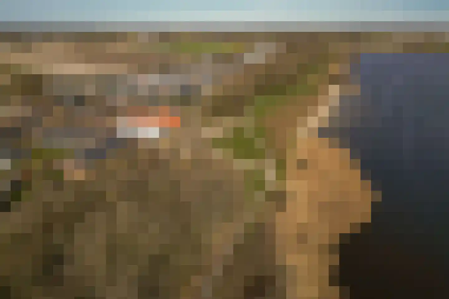 Duinschooten 12 102 Noordwijkerhout thumbnail 34