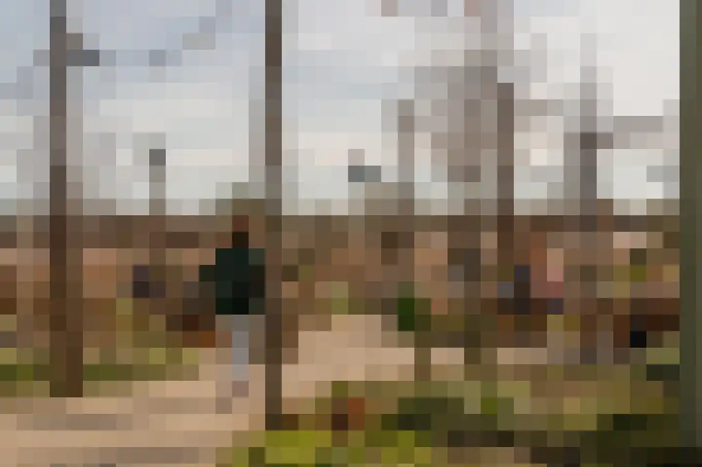 Duinschooten 12 102 Noordwijkerhout thumbnail 37
