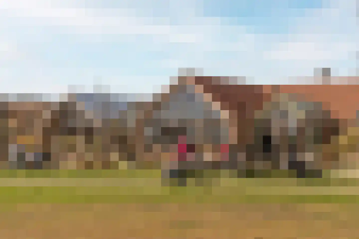 Duinschooten 12 102 Noordwijkerhout thumbnail 38