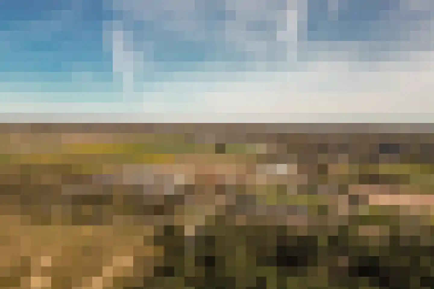 Duinschooten 12 102 Noordwijkerhout thumbnail 40