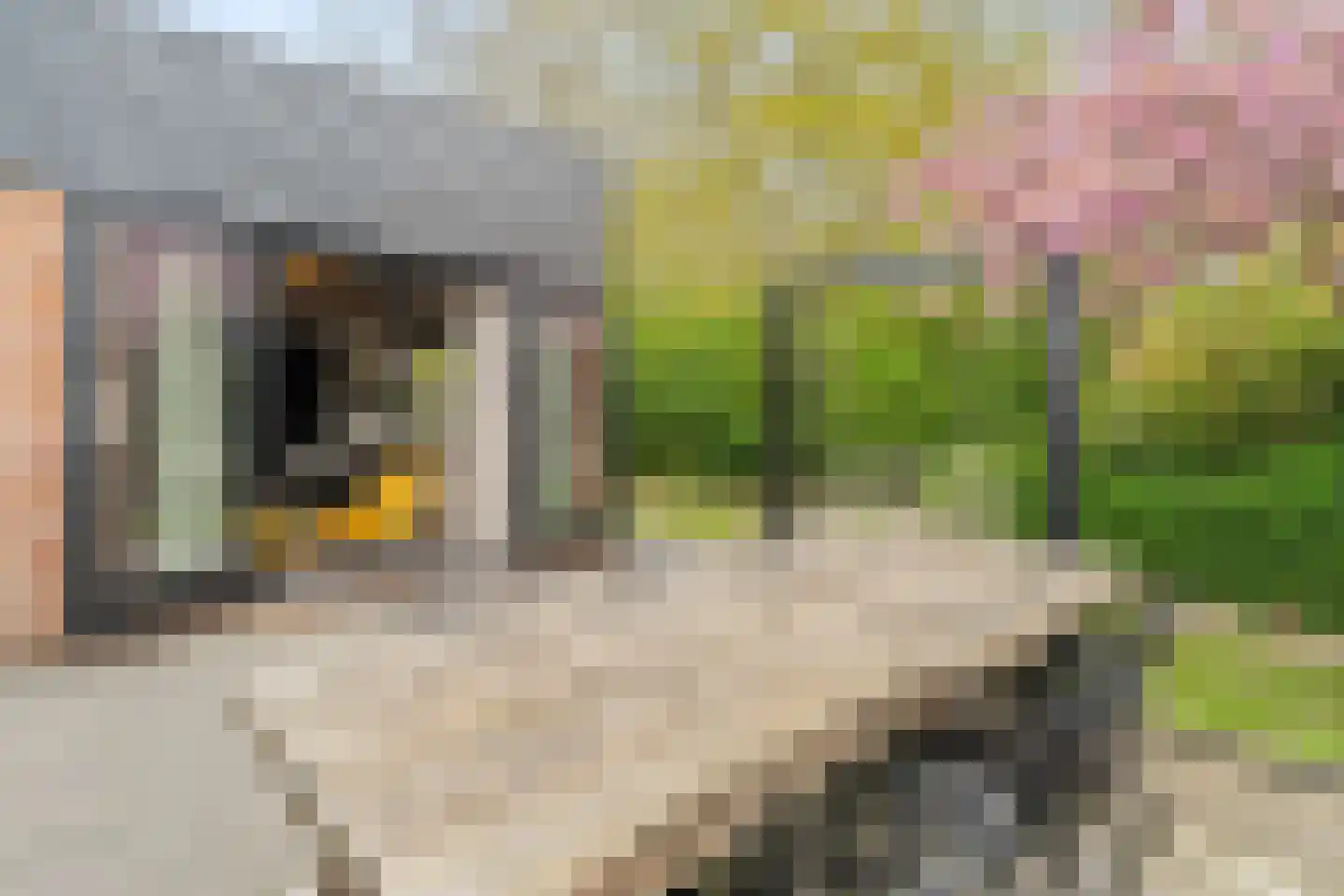 Duinschooten 12 112 Noordwijkerhout thumbnail 14