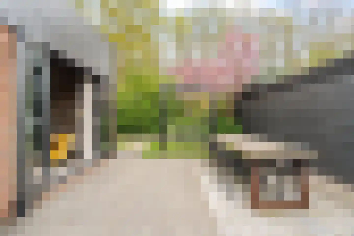 Duinschooten 12 112 Noordwijkerhout thumbnail 15