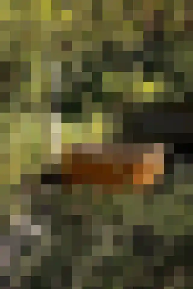 Duinschooten 12 112 Noordwijkerhout thumbnail 17