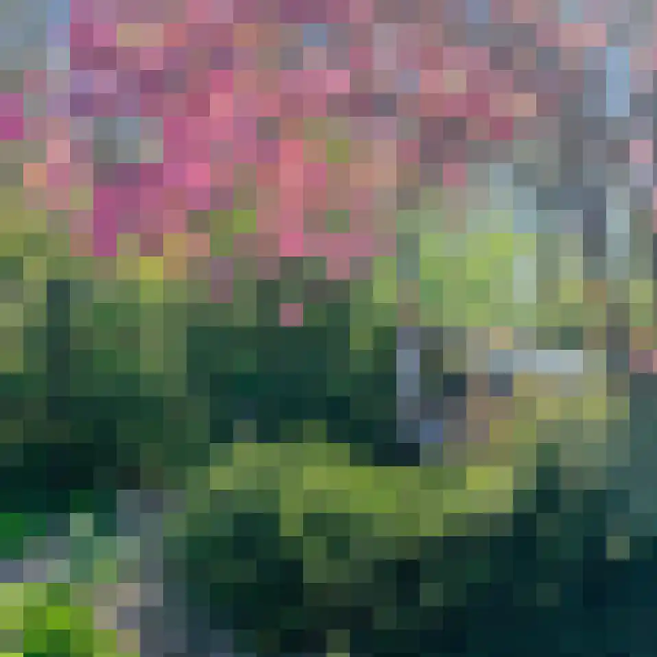 Duinschooten 12 112 Noordwijkerhout thumbnail 18