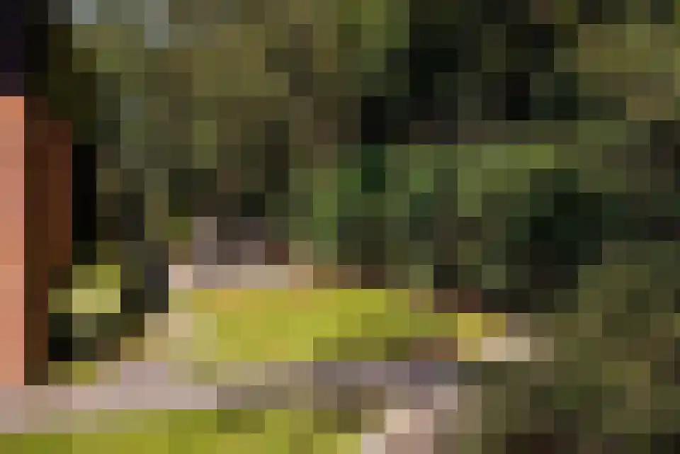 Duinschooten 12 112 Noordwijkerhout thumbnail 20