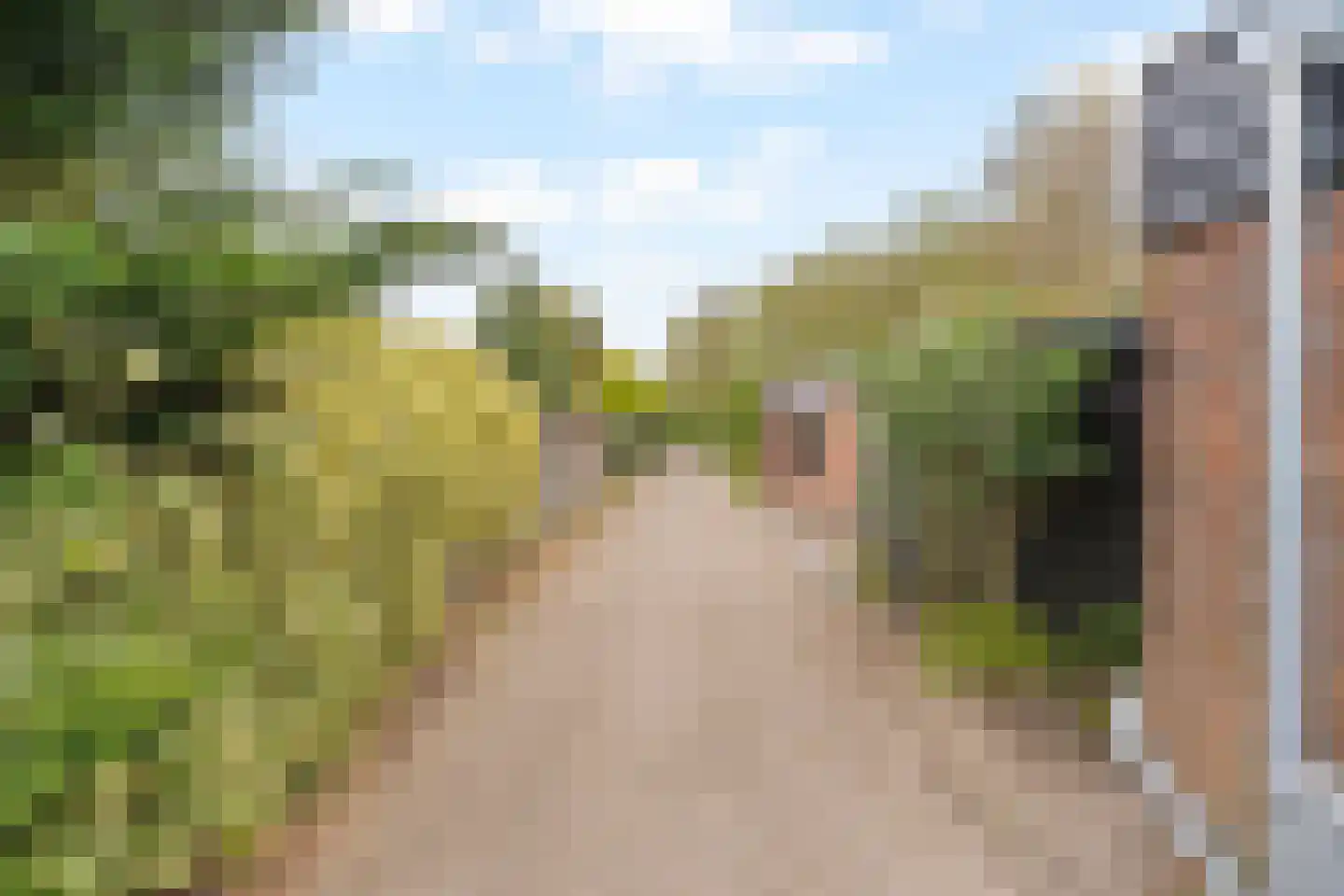 Duinschooten 12 112 Noordwijkerhout thumbnail 31